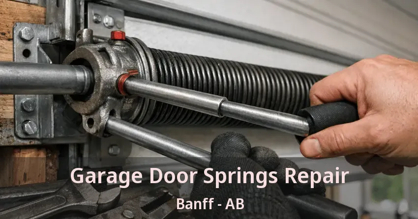Garage Door Springs Repair Banff - AB