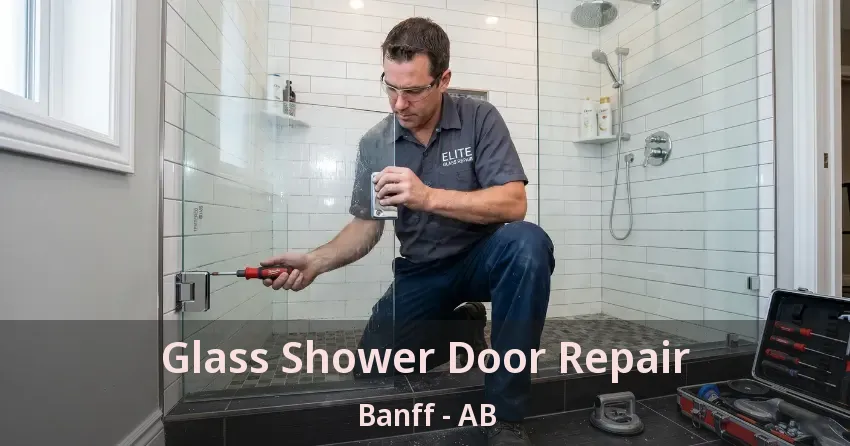 Glass Shower Door Repair Banff - AB